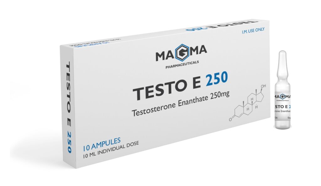 TESTO E 250